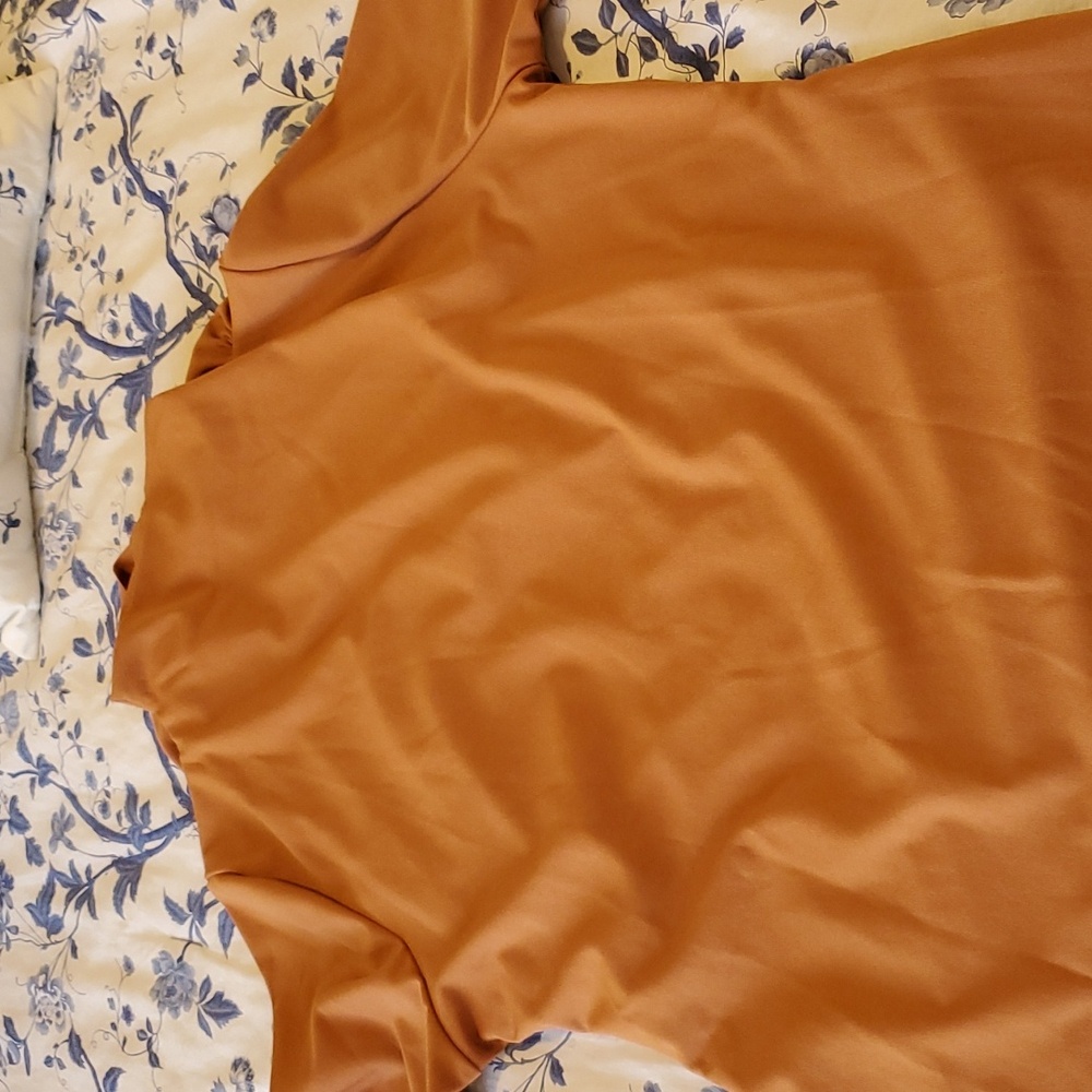 Dark Orange Poly/Elastane Stretchy Cowl Neck With… - image 4